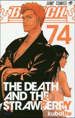 [중고-최상] BLEACH(74): ジャンプコミックス