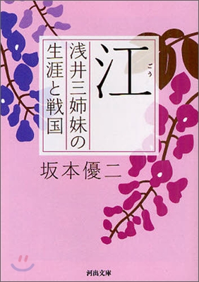 江 淺井三姉妹の生涯と戰國