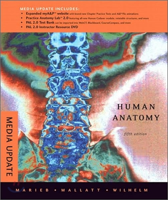 Human Anatomy