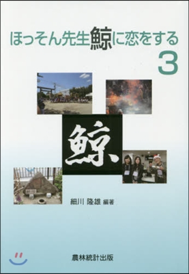 ほっそん先生鯨に戀をする   3