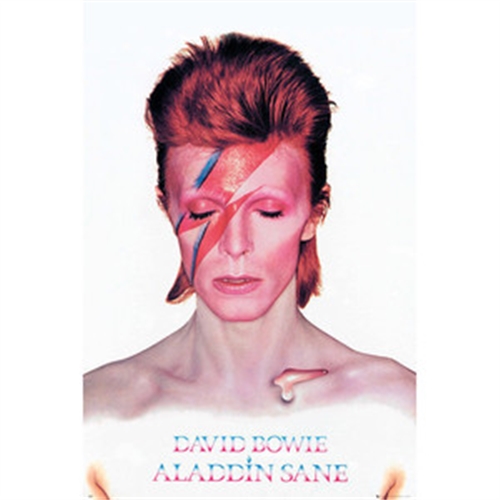 LP2047 DAVID BOWIE Aladdin Sane