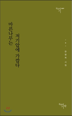 마른나무는 저기압에 가깝다