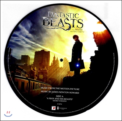 신비한 동물사전 영화음악 (Fantastic Beasts And Where To Find Them OST by James Newton Howard 제임스 뉴튼 하워드) [12인치 픽쳐디스크 LP]