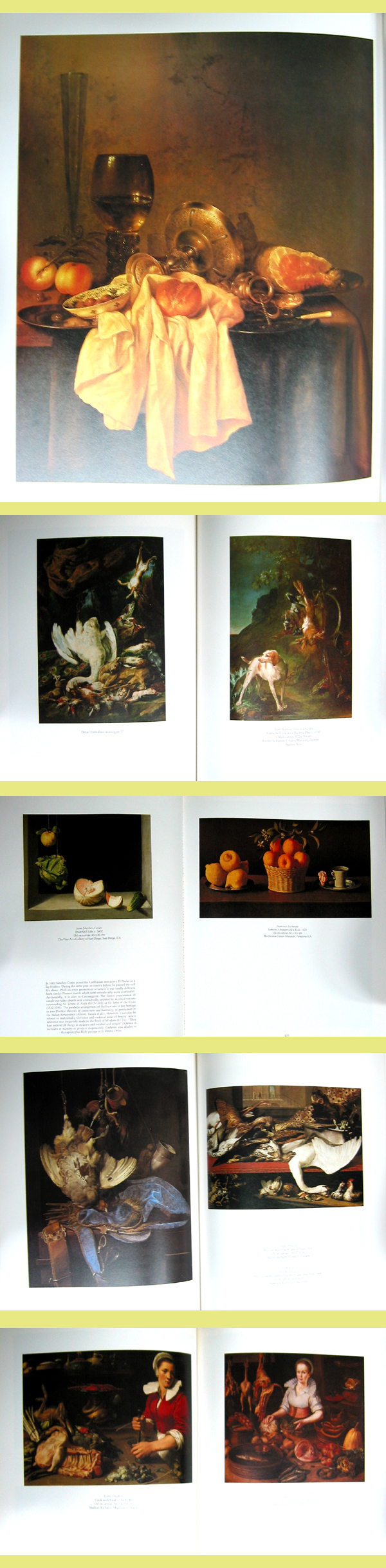 The Art of the STILL LIFE   -화집-