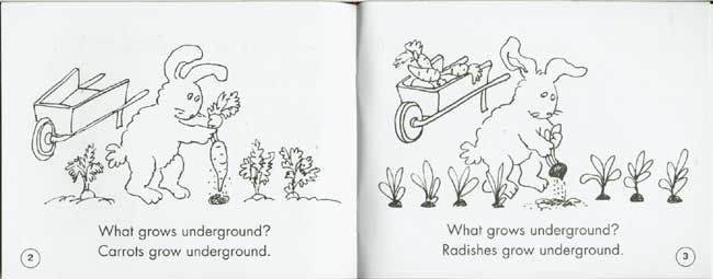 Level B - What Grows Underground? (Little Leveled Readers: Level B)