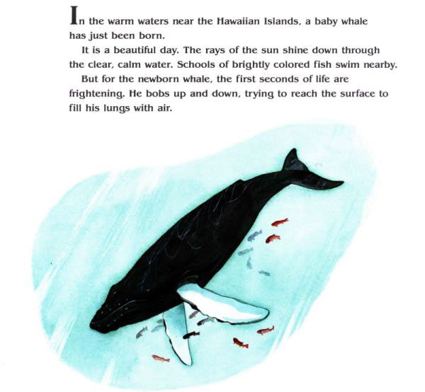 Baby Whale (Reading Railroad)