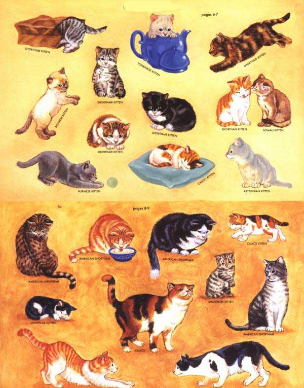 Cats and Kittens (Sticker Stories)