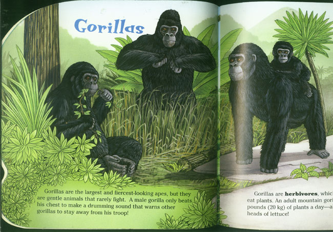 Apes (Know-It-Alls)