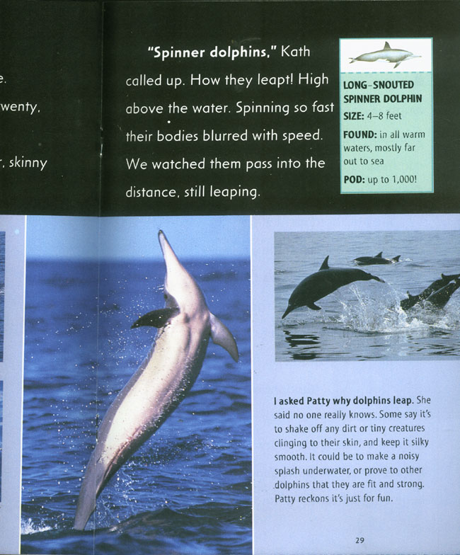 Wild About Dolphins
