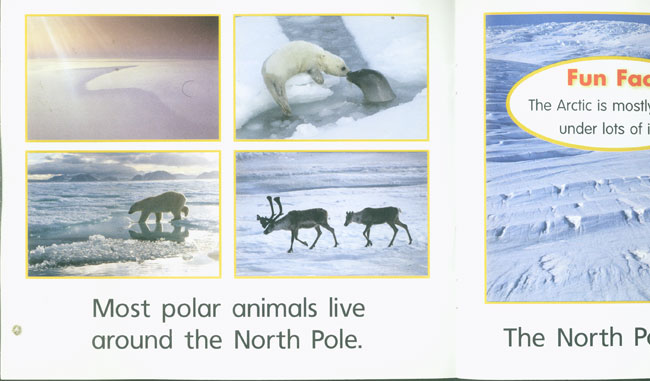 Where Polar Animals Live