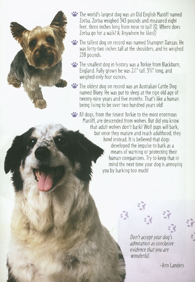 Who Let the Dogs Out(The Ultimate Dog sticker Fun Book)