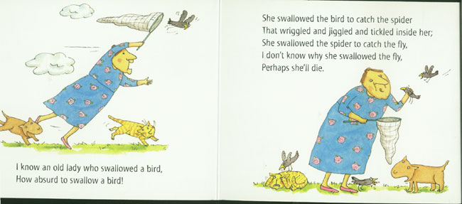 I Know an Old Lady Who Swallowed a Fly (Board book)