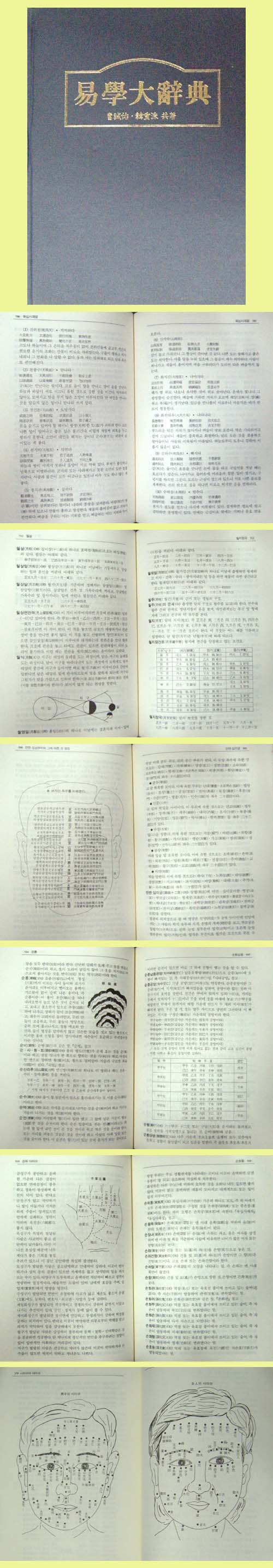 역학 대사전 易學大辭典 - 사주. 역술. 토정비결 -