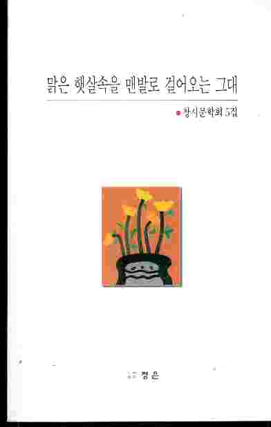 맑은 햇살속을 맨발로 걸어오는 그대 - 창시문학회 5집