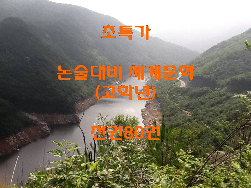 논술대비세계문학