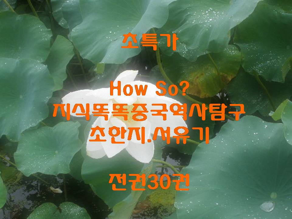 HOW SO?중국역사탐구 초한지 서유기