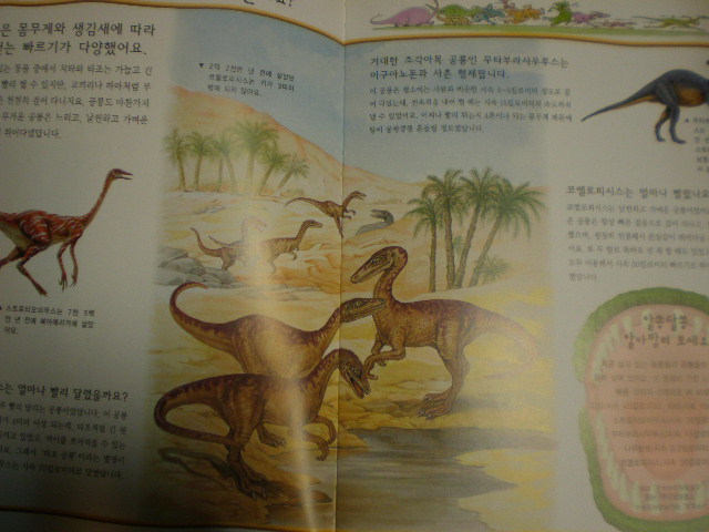 why  why? 왜 공룡 화석을 연구하는걸까?