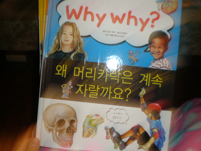 why  why?왜  머리카락은 계속 자랄까요?