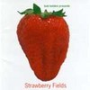 Bob Belden / Strawberry Fields (일본반)