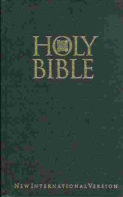 HOLY BIBLE : New international version (영문판)