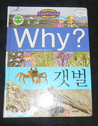 why? 갯벌