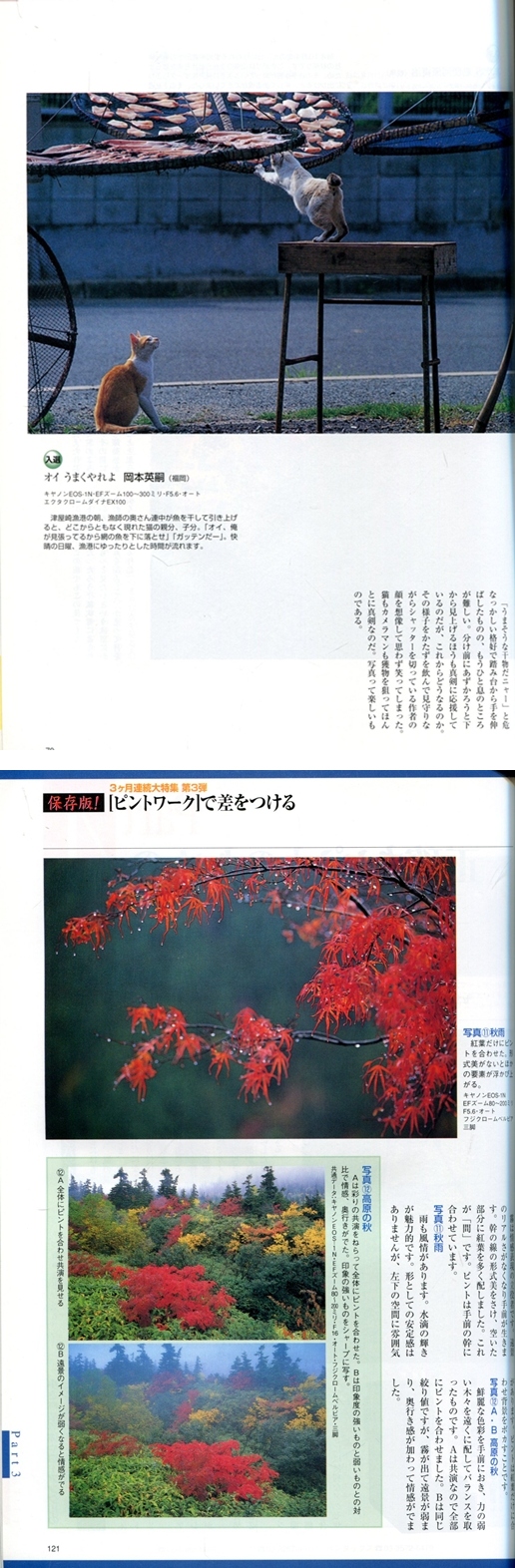 Photo Contest(월간) : 日本フォトコンテスト2000.09 フォトコン 2000年 9月號