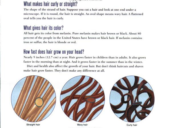 Why Don't Haircuts Hurt?: Questions and Answers about the Human Body (Scholastic Question &amp; Answer)
