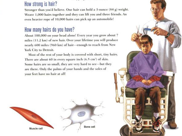 Why Don't Haircuts Hurt?: Questions and Answers about the Human Body (Scholastic Question &amp; Answer)