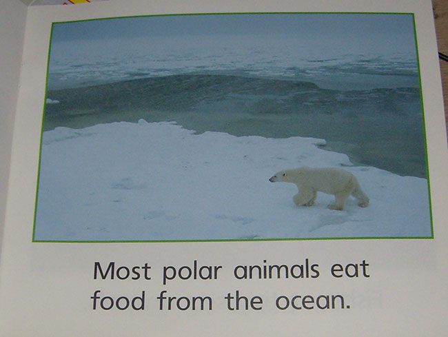 WHAT POLAR ANIMALS EAT [Time-to-Discover]