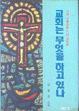 교회는 무엇을 하고 있나 - 사제 서품30돌 기념 글모음