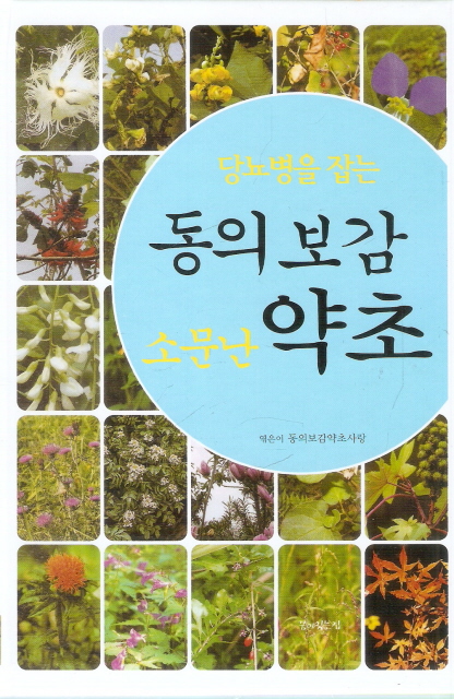 당뇨병을 고치는 소문난 동의 보감 약초 