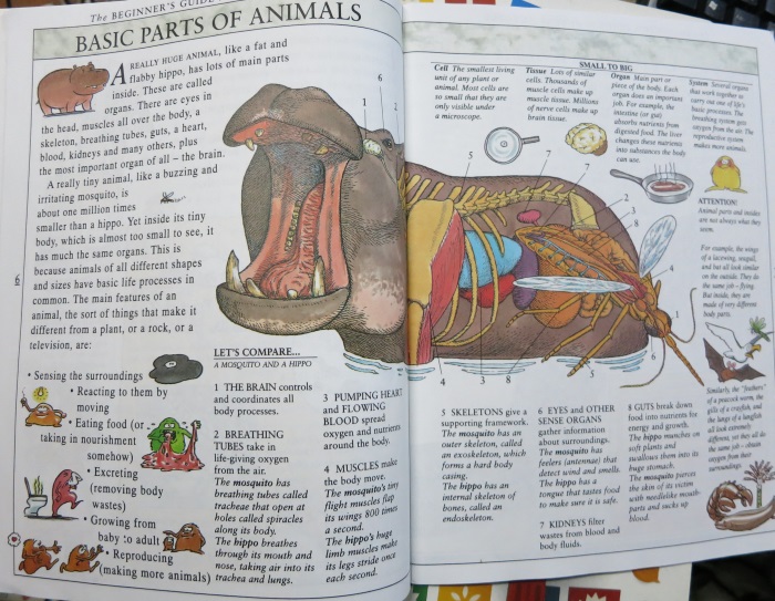 The beginner's guide to animal autopsy: The "hands-in" approach to zoology