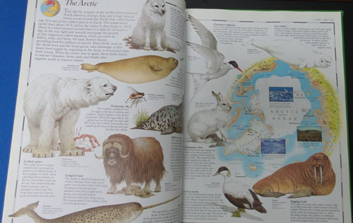 The Animal ATLAS