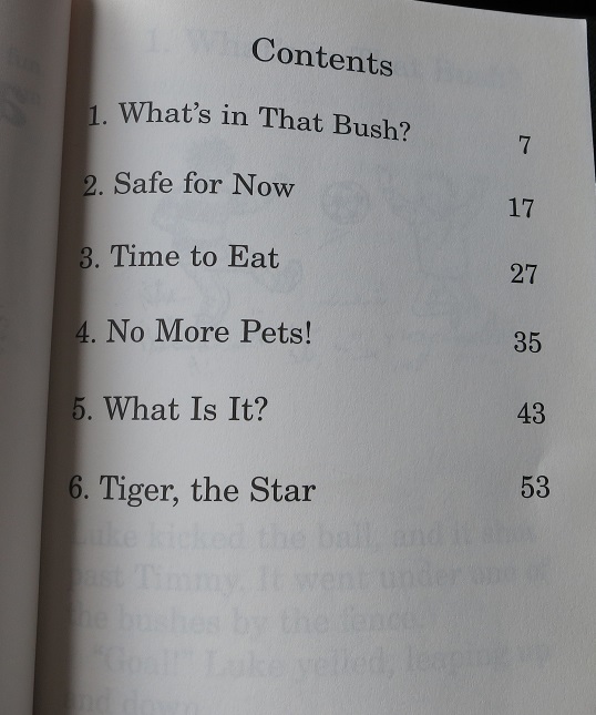 Timmy and Tiger (Hooked on Phonics Chapter Books, Level 4: Book 2)