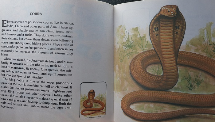 The How and Why Sticker Book of Snakes