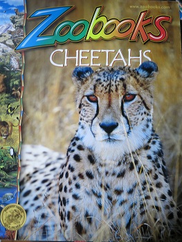 [중고샵] Zoobooks Cheetahs - 예스24