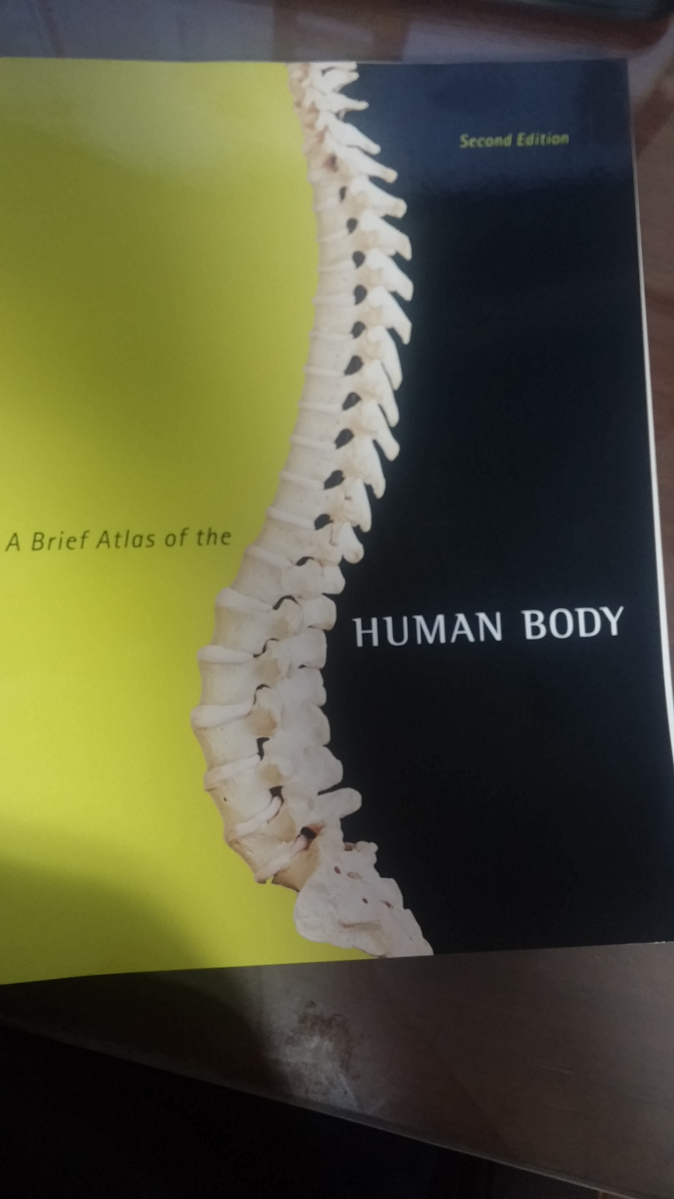 A Brief Atlas of the Human Body