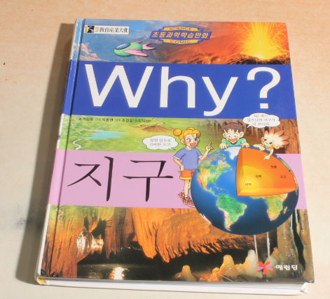 why? 지구