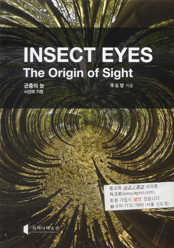 [사비나미술관] 곤충의 눈 - 시선의 기원 (INSECT EYES - The Origin of Sight) (주도양, 2016년)
