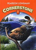 Cornerstone 4 (외국도서/양장본/큰책/상품설명참조/2)