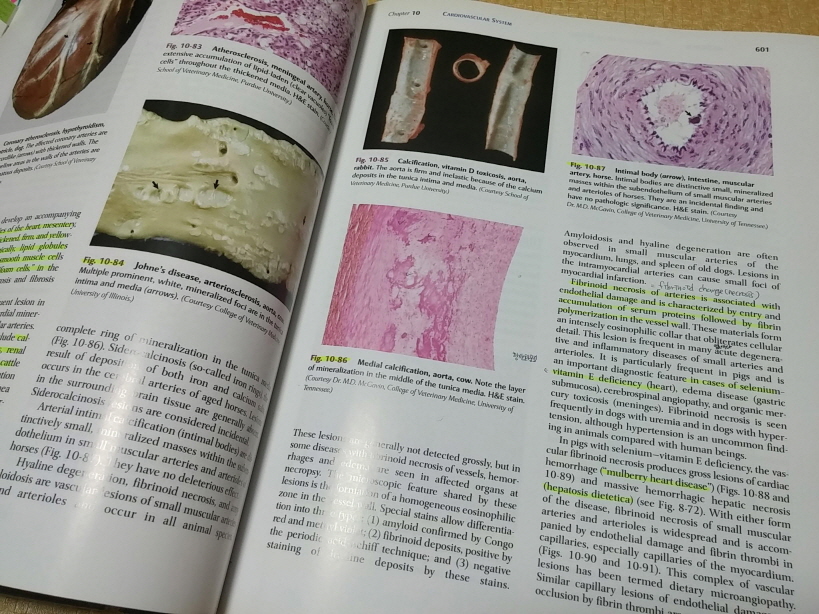 Pathologic Basis of Veterinary Disease, 4/E