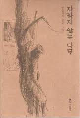 자라지 않는 나무 - 손상기의 글과 그림 (2004 재판)