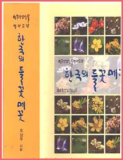 새책. 한국의 들꽃 메꽃
