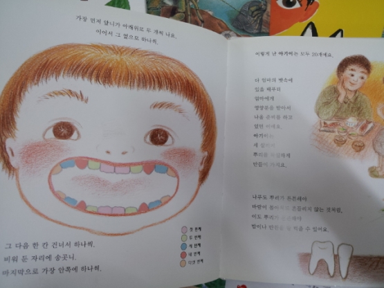 대교)개똥벌레 과학그림책