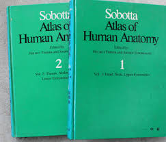 Atlas of Human Anatomy 도해인체해부학 제3판 1,2 