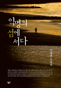 익명의 섬에 서다 (국내소설/2)