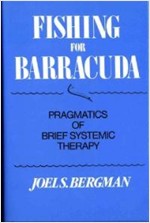 Fishing for Barracuda: Pragmatics of Brief Systemic Theory (Hardcover)