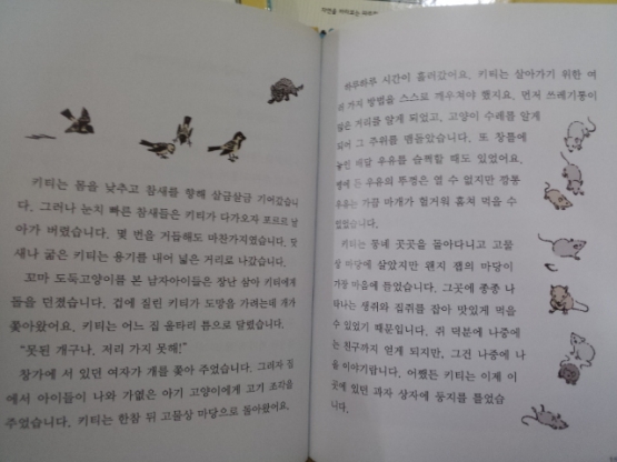 교원올스토리)자연을 바라보는 따뜻한 시선 시턴동물기