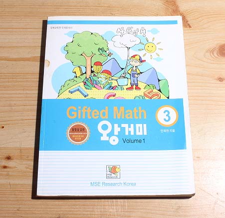 Gifted Math 왕거미 Grade3 Volume1