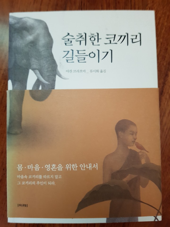 술취한 코끼리 길들이기